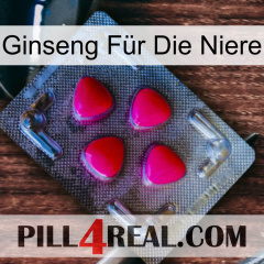 Ginseng Für Die Niere 13